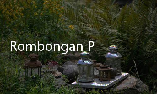 Rombongan Pejuang PPP Sambangi Kertanegara, Sampaikan Komitmen Menangkan Prabowo